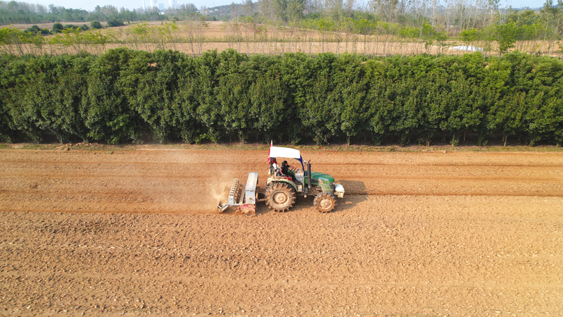 ��ץ�r(n��ng)�ræ�ﲥ �Ͳ˷Nֲ����(d��ng)�r