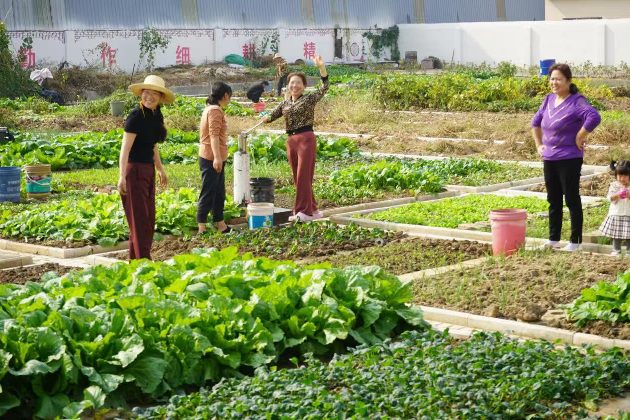 ������(j��ng)��(j��)�_�l(f��)�^(q��)�´��壺С�^(q��)�������������Ҹ���