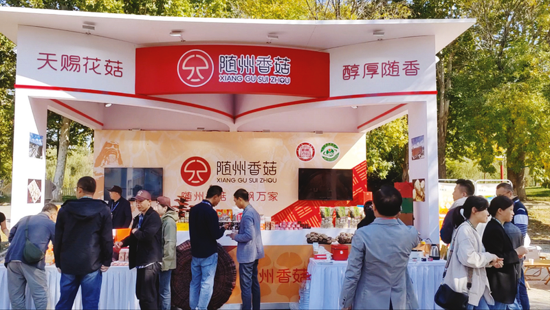 ���S���㹽���h�㾩�ǡ������S���㹽 ���h�f�ҡ�ȫ�������ƏV�����л�ӷ�푟���