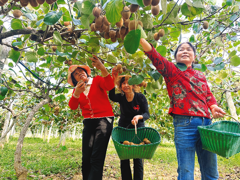 �����S���S�ռ� | ̫���ǧ���J�����𡰫J������