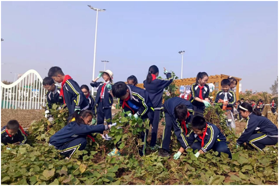 ���S�W(xu��)У������S�ǈ@  �����������