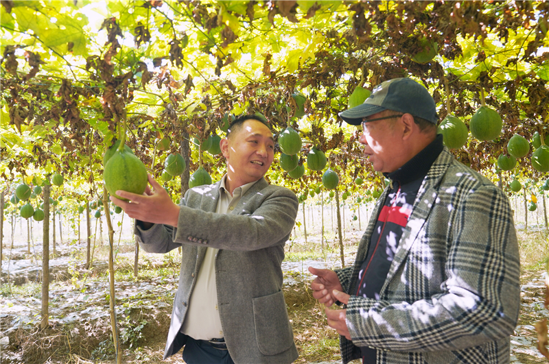 ���r(n��ng)������ƽ�_(t��i)