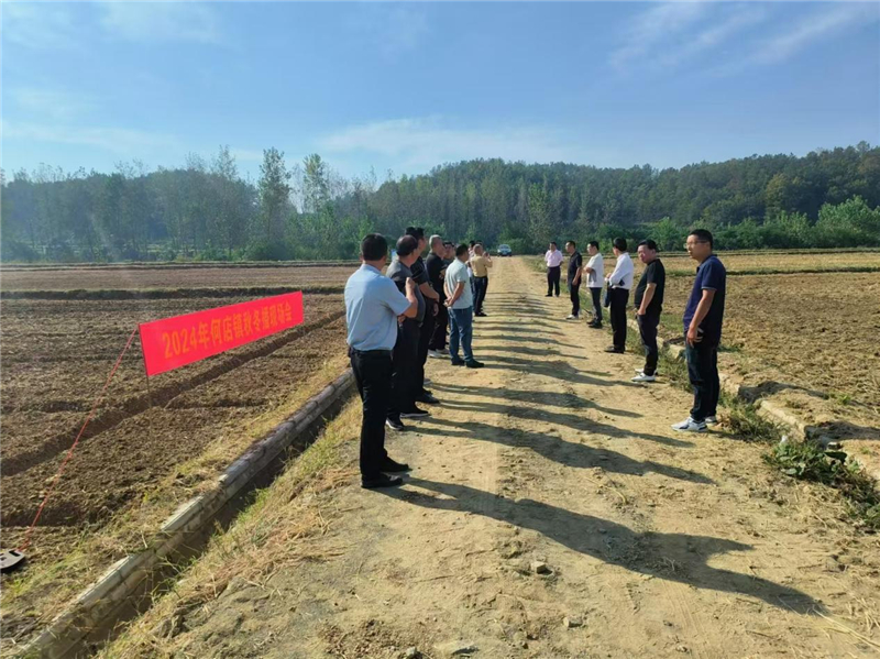 �ﶬ�ﲻ���e�� �Ͳ˲��Næ