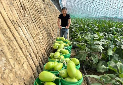 �����S���S�ռ�|�����(zh��n)�����_�壺��������������ϡ��¸�܇��