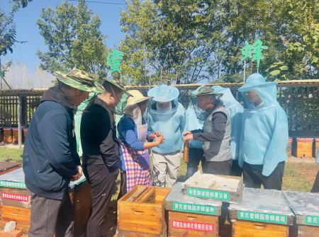 �����^(q��)����(li��n)��������I(y��)�Ļ����O(sh��) ������(y��u)���I�̭h(hu��n)��