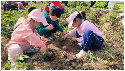 ����(y��u)���I(y��ng)�̭h(hu��n)�����ε��(zh��n)�ڶ��׃��@�_(k��i)չ�ڼt���Ȅڄ�(d��ng)��(sh��)�`���(d��ng)