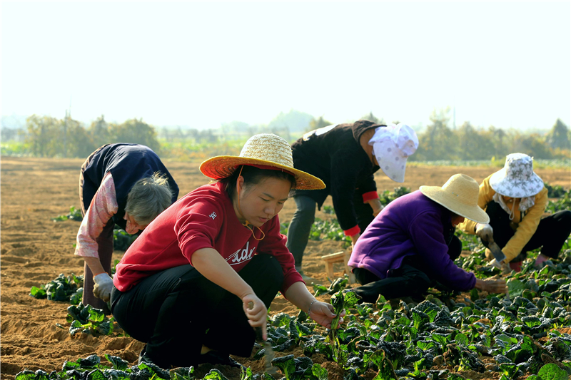 �������ԃ�(y��u)�|(zh��)������