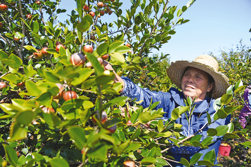 �Y����ɽ�N�¡�������� �����S���Ͳ�a(ch��n)�I(y��)�l(f��)չ����֮��