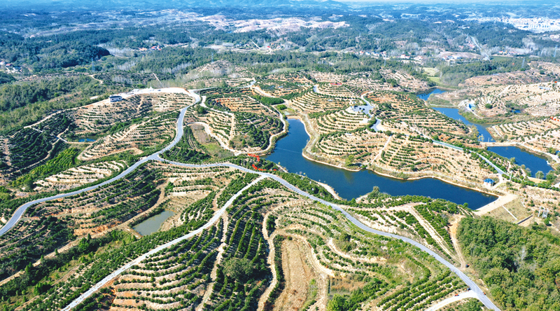 �����O(sh��)ʾ���^(q��)���S�h��̶�(zh��n)���Ͳ�a(ch��n)�I(y��)���l(xi��ng)�����d�����͡�