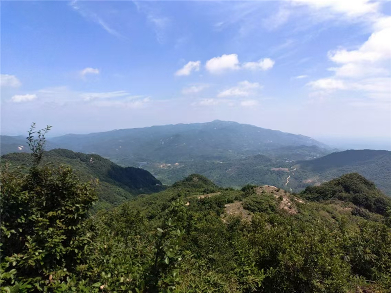 �S�h�����(zh��n)ͩ������d��׃֮·