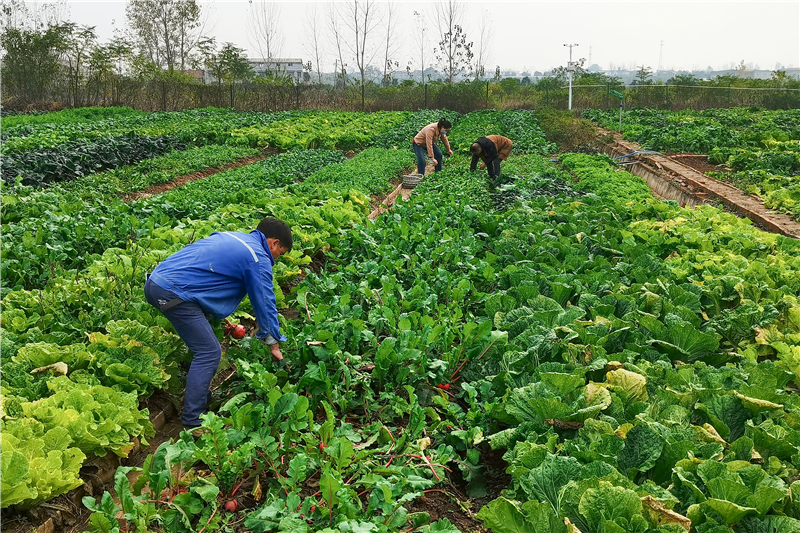 �����ˈ@�ܚgӭ