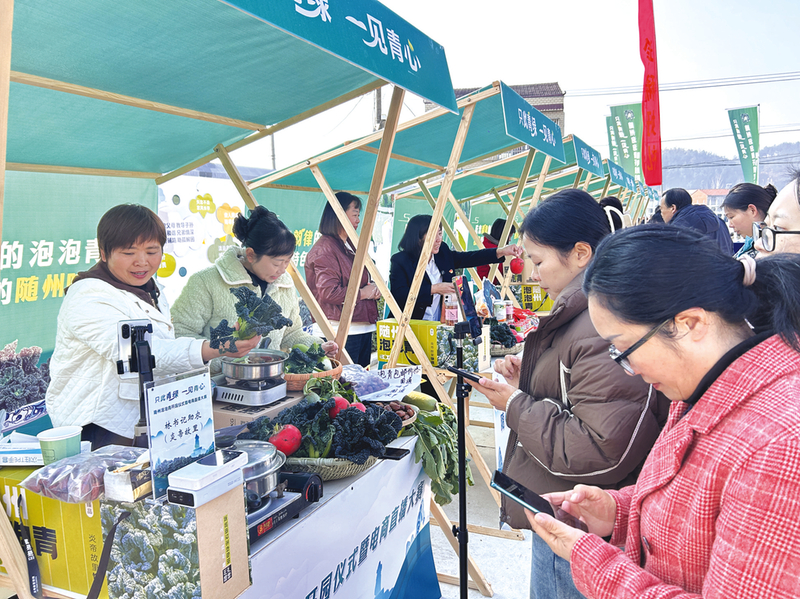 �S���������_�@����ُ�ᳱ