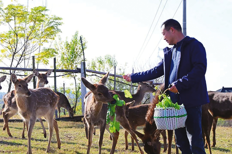 ÷��¹�Z�B(y��ng)����