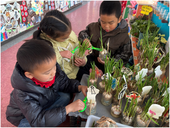 ��ɽ�(zh��n)�����׃��@�_չ�౾�n��չʾ���