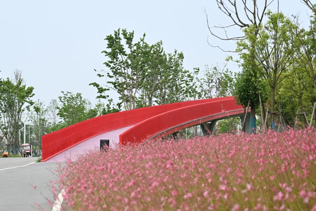 �����^(q��)�ǹ܈�(zh��)���֣����ǡ������o(h��)����������