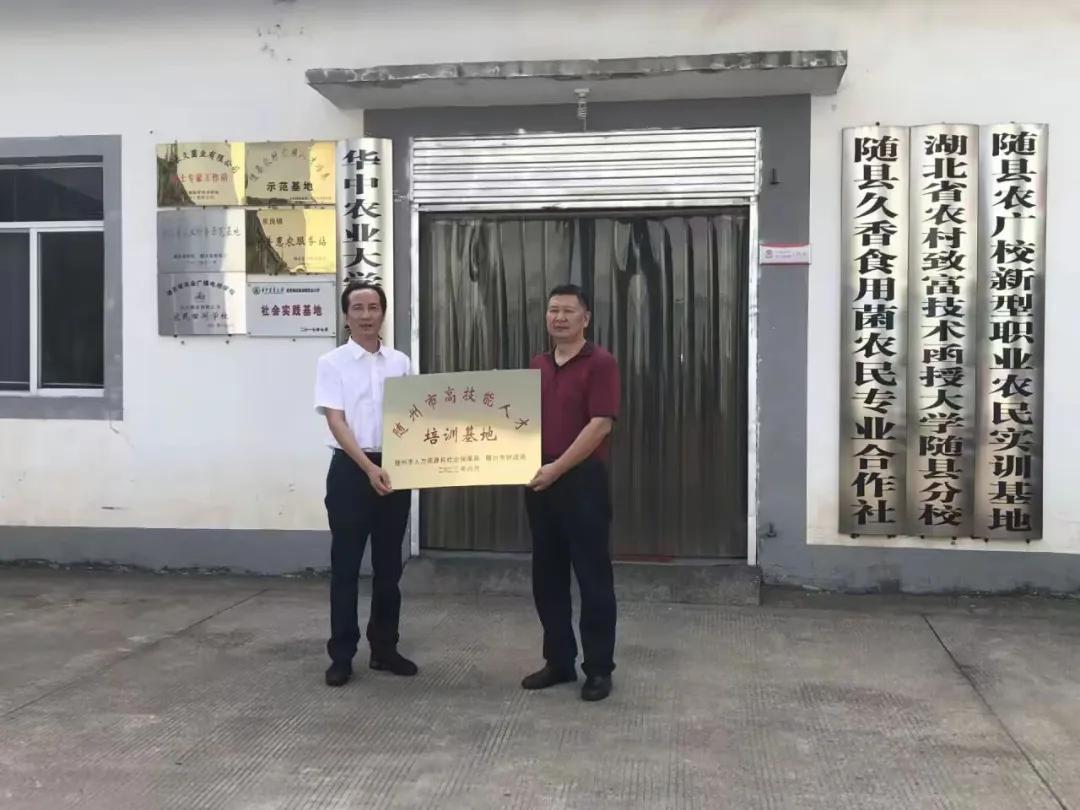 ϲ�����S�h����֡��S�h�㹽�Nֲ���������˲����B(y��ng)��ģʽ�ĸ����(xi��ng)�@ʡͨ���P(y��ng)