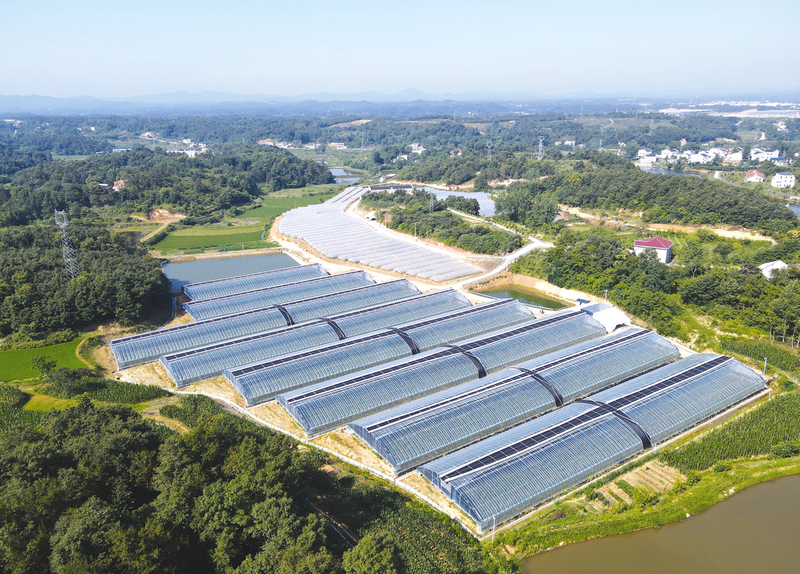 �ε��(zh��n)���A�壺С����׃�����¸��ܴa�������l(xi��ng)�����d��(d��ng)��