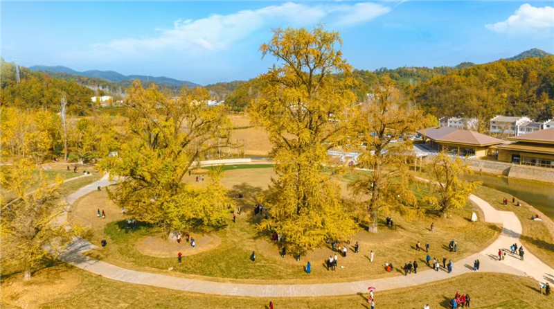 ���h�Ѕ^(q��)ί��ӛ�LՄ����𩣺����(bi��o)����ȫ���ُ�(qi��ng)ȫ�������l(f��)չ�|(zh��)Ч ��ȫ�и��|(zh��)���l(f��)չ��������^Ӳ��֧��