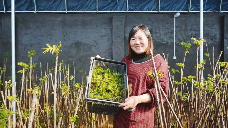 �����M(j��n)�l(xi��ng)�忴���d������(zh��n)�����I�����������B(y��ng)С��ѿ׃�����S���~��