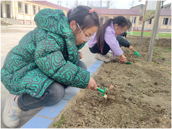 �����^(q��)�ε�С�W(xu��)؞�fУ�^(q��)����������У�@�h(hu��n)��  ����(chu��ng)���ÌW(xu��)��(x��)���