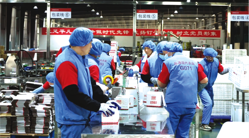 ������֧�c(di��n)���O(sh��)��ƷԴ��˾�M(j��n)܊����(gu��)�٫@��ͻ��������6.1�f���̳�����ӆ��