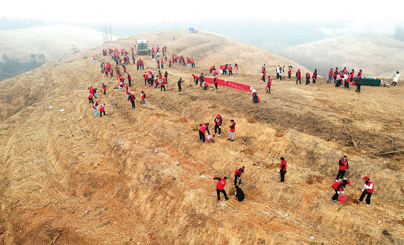 �F��ί�M���F�T���굽��̶�(zh��n)�_չ�������S�ݡ��ഺ�Єӡ��x��(w��)ֲ����