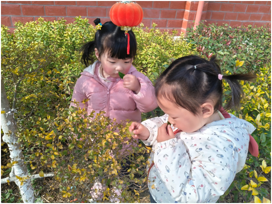 ��ɽ�(zh��n)�����׃��@�_չֲ�九(ji��)���}�������