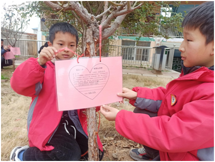 ��ɽ�(zh��n)�ڶ�С�W(xu��)�_չ�J(r��n)�B(y��ng)һ�Ø�ֲ�九(ji��)���