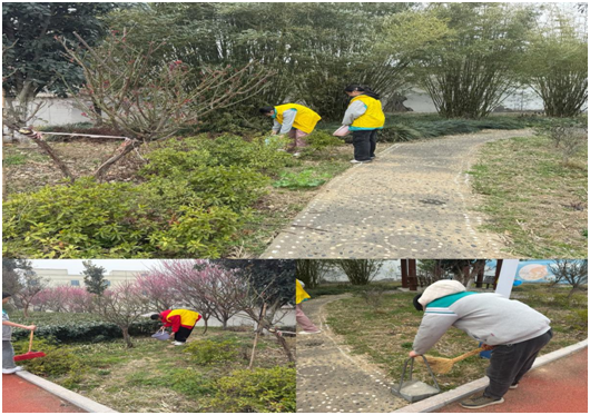 �����(zh��n)���ČW(xu��)У�e��ֲ�九(ji��)���