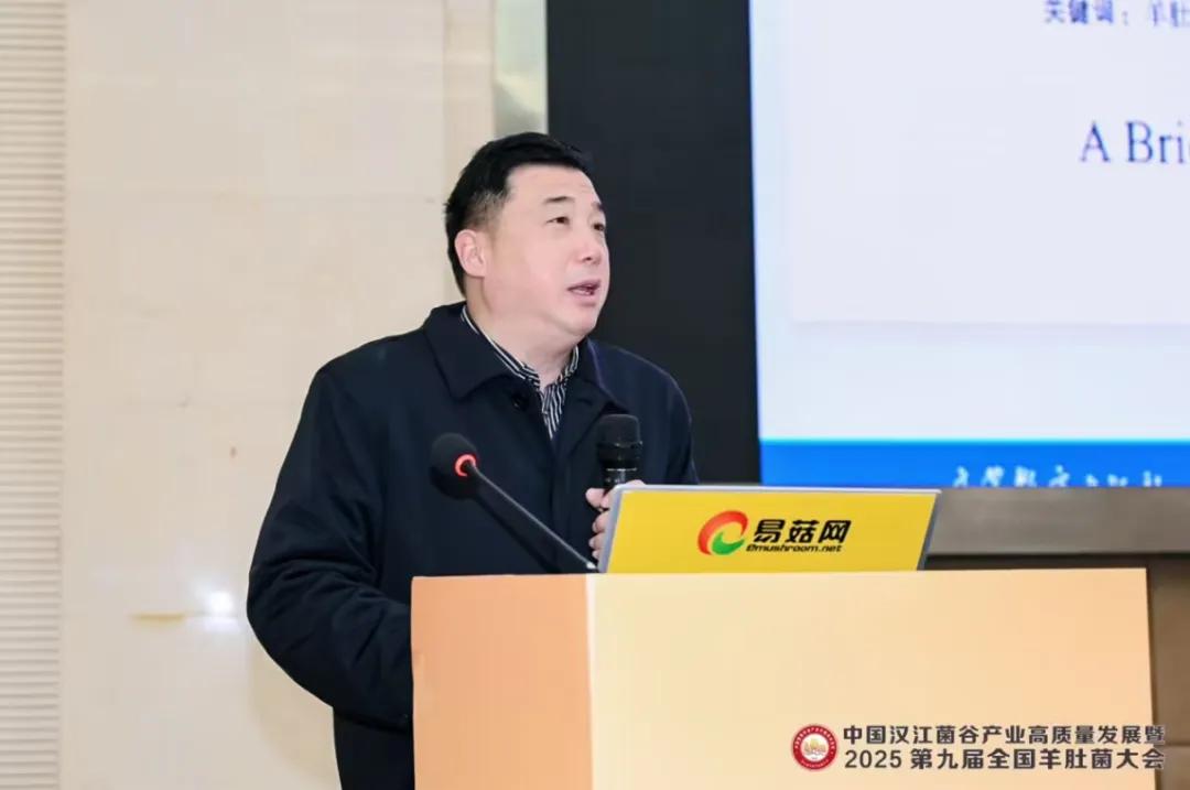 �㹽�WԺ�����Ї��h�����Ȯa(ch��n)�I(y��)���|(zh��)���l(f��)չ��2025�ھŌ�ȫ����Ǿ����