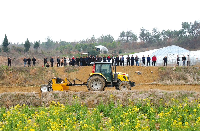 �S�����r(n��ng)�C(j��)���T�������^(q��)�����(zh��n)�_չ���r(n��ng)�C(j��)�[���������(d��ng)