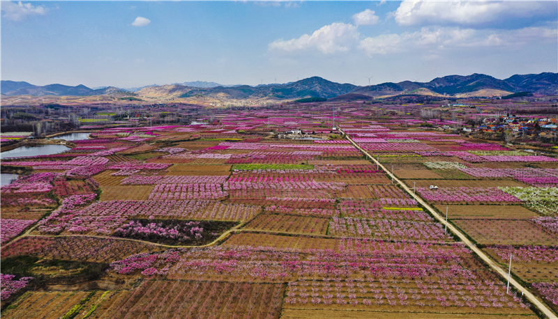 �����|(zh��)���l(f��)չ�(zh��n)���С��ƿh�(zh��n)�A��ɽ�壺�����һ������L ��������(j��ng)���������r