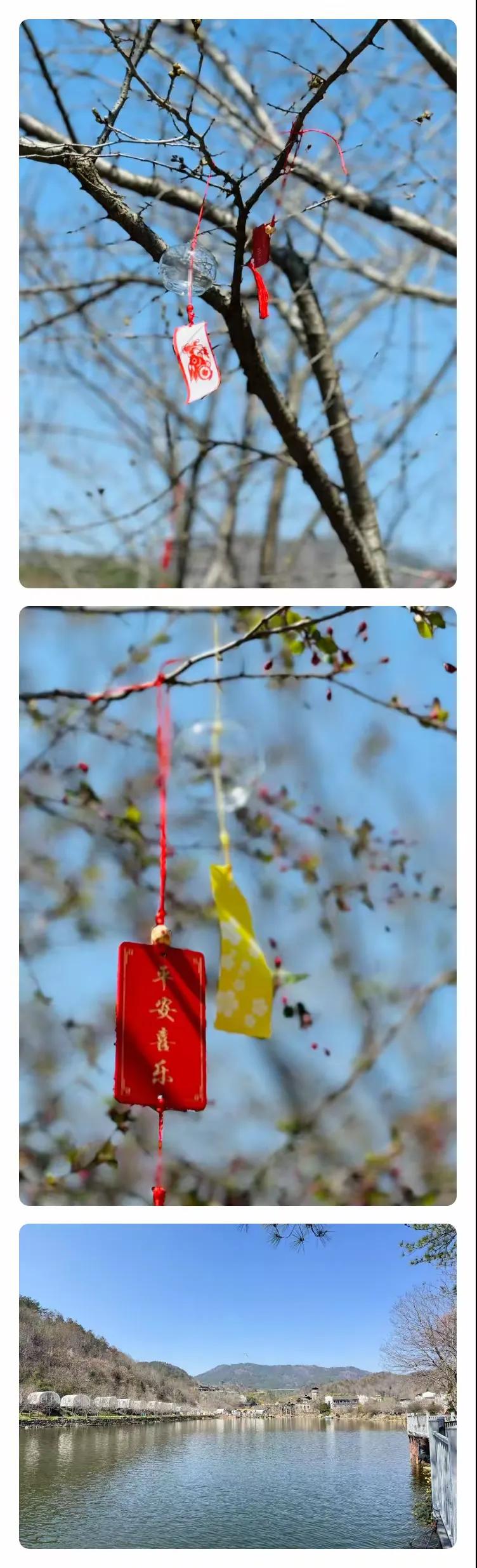 �S���КW����ЌW(xu��)�_չŮ�̎������ЌW(xu��)���