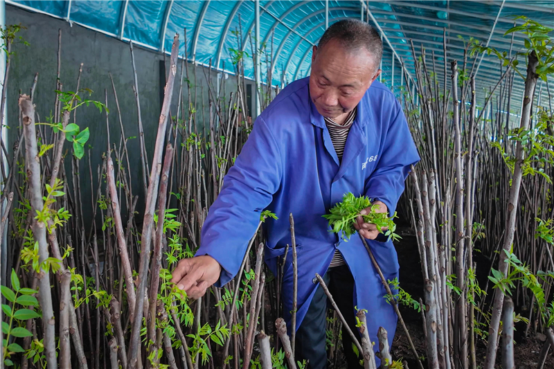 ����ý�w�����С�����(zh��n)�������㴻䁾͡��S��·��