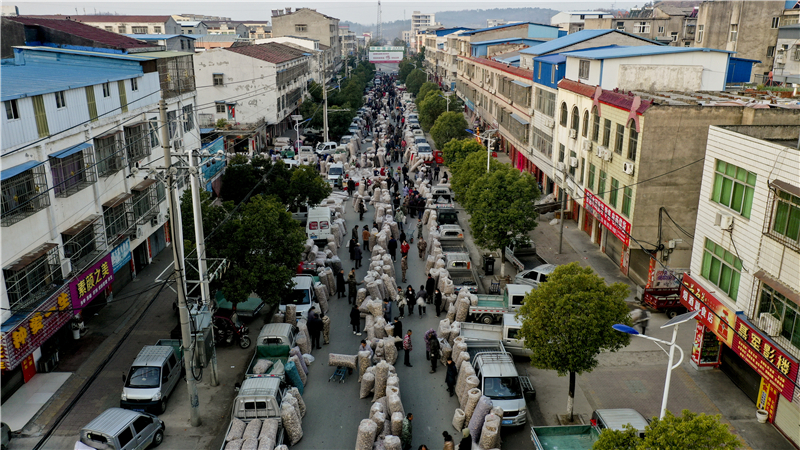 �����|(zh��)���l(f��)չ�(zh��n)���С��S�ݣ�1�|���㹽�˄�12�|�a(ch��n)ֵ