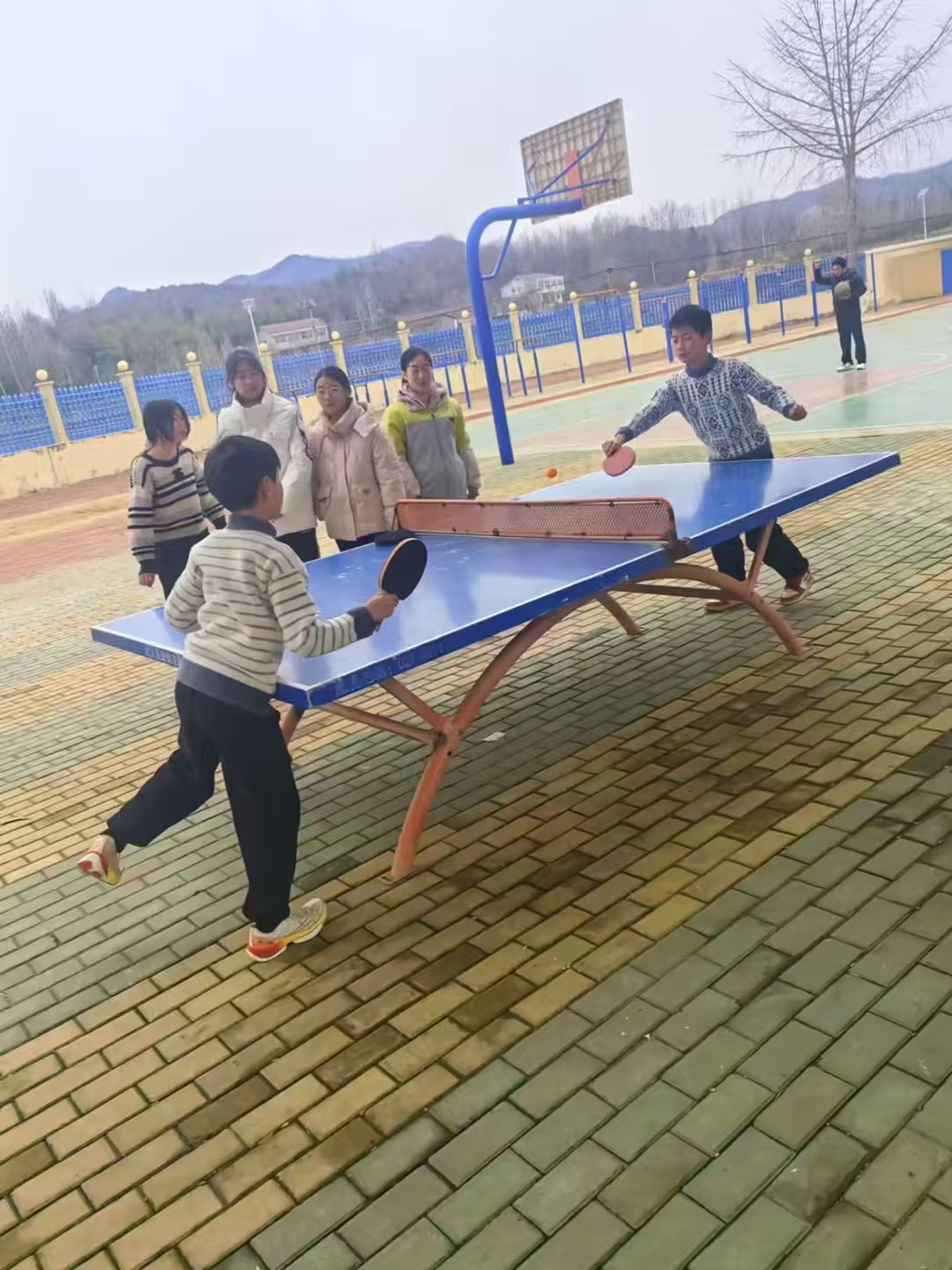 ����(zh��n)���ČW(xu��)У���n�g�ĸ�������  ʮ����չ�L��