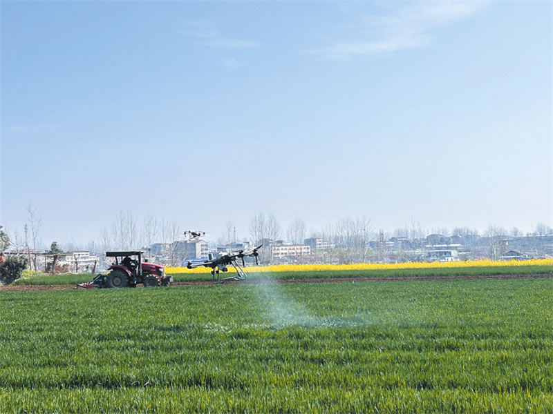 �S�h�f(w��n)�����r(n��ng)��(ch��ng)�P��ɽ�塰һ���������F(xi��n)��(ch��ng)