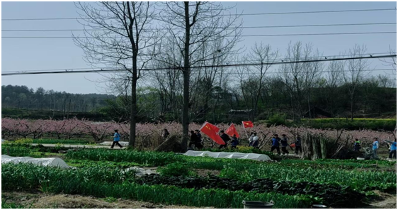 С���(zh��n)���ČW(xu��)У�_չ������(ji��)���߻��