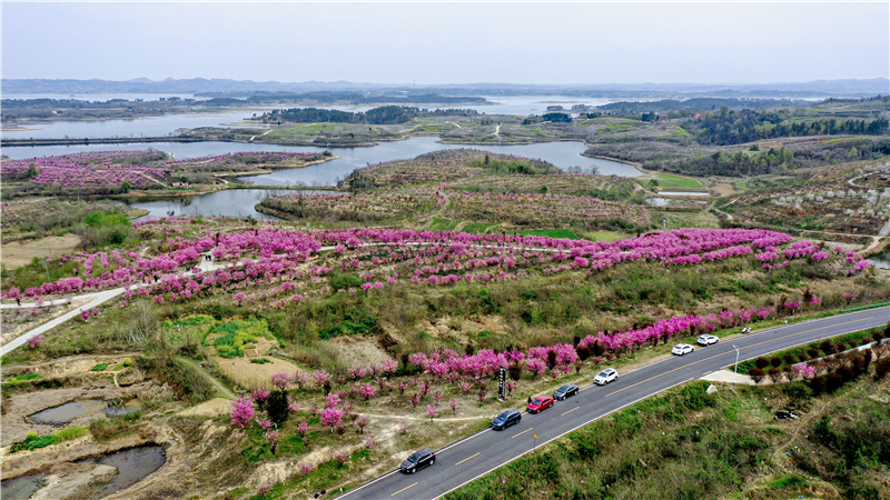 һ·�L(f��ng)�����������L(f��ng)�����S��������·