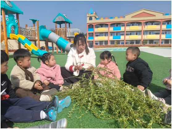 ��ɽ�(zh��n)�����׃��@�_չ������(ji��)���}�������