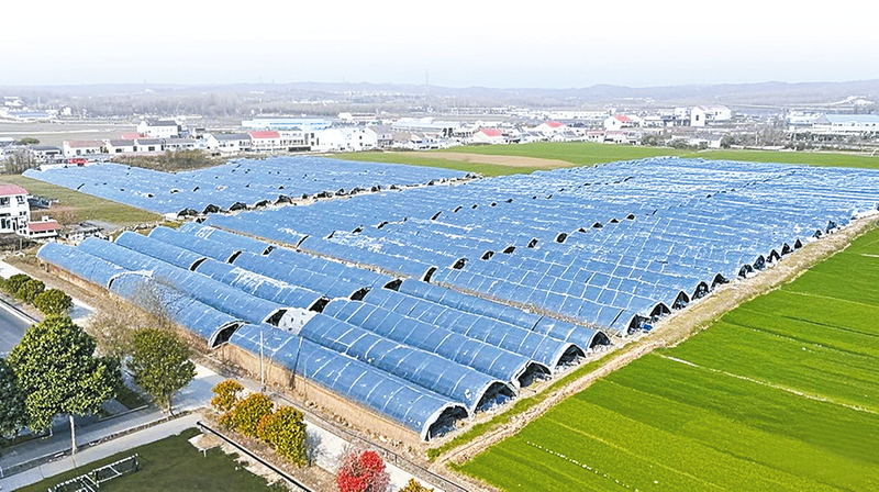 ���L(f��ng)�ߡ�����������ɽ�䡱�L���S�վ�