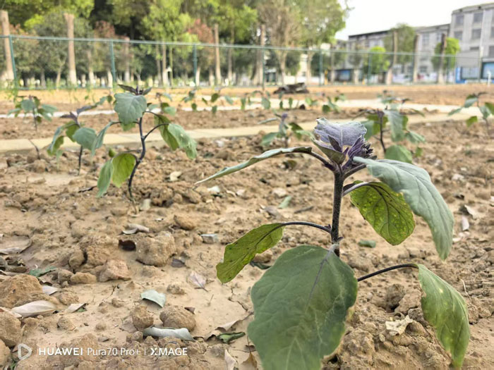 ���ӵڶ�С�W�ڄӌ��`������������Ɵᳱ