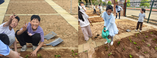 ����(y��u)���I�̭h(hu��n)���������^(q��)���ӵڶ�С�W(xu��)�⻯У�^(q��)�_չ�N�����