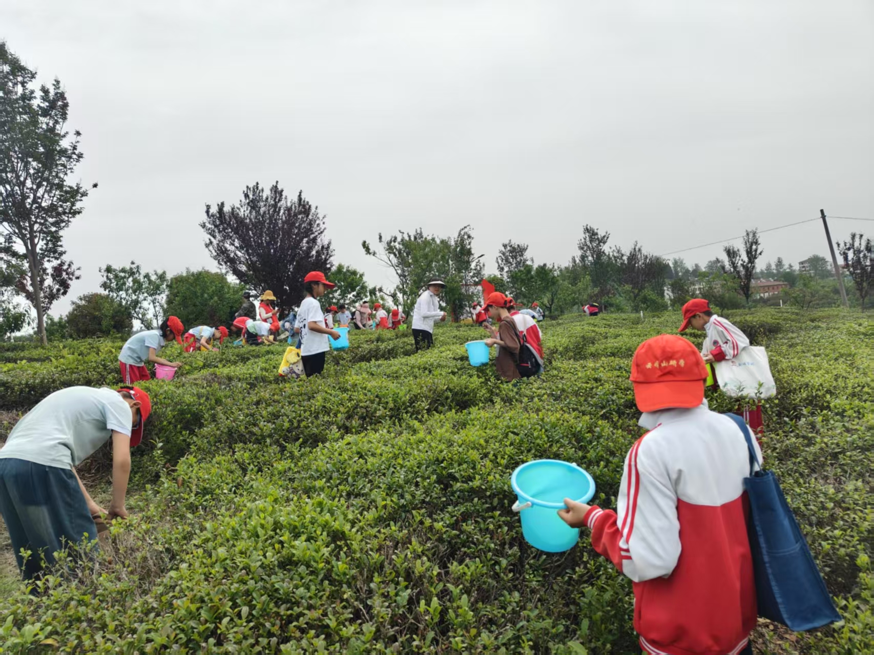 ����(zh��n)��С�W(xu��)�����_չ���Ļ����}�ЌW(xu��)��(sh��)�`���(d��ng)