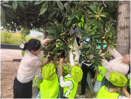 �ƿh�(zh��n)�����׃��@ʳ���n��