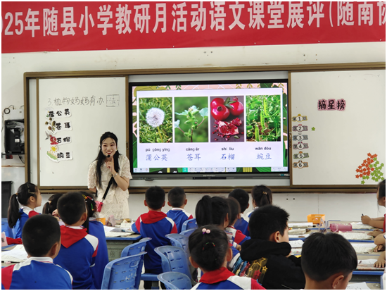 �S�υf(xi��)���^(q��)С�W�Z�����w���n��չ�u�ں�ɽ�(zh��n)��һ�ЌW���ʳʬF(xi��n)