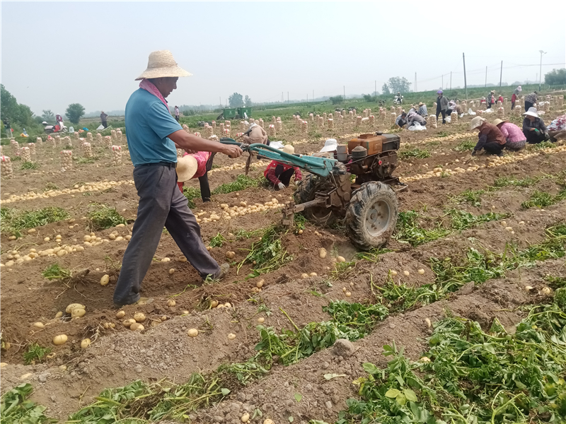 ���ʹ������S��