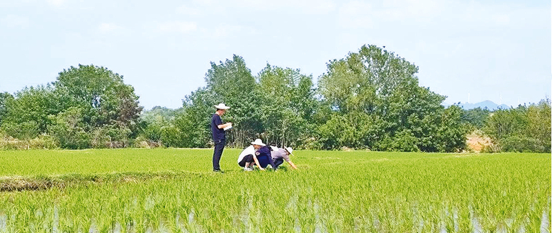 �Vˮ���r(n��ng)�I(y��)�r(n��ng)����r(n��ng)���ˆT�_չ�ļ����g(sh��)ָ��(d��o)����(w��)