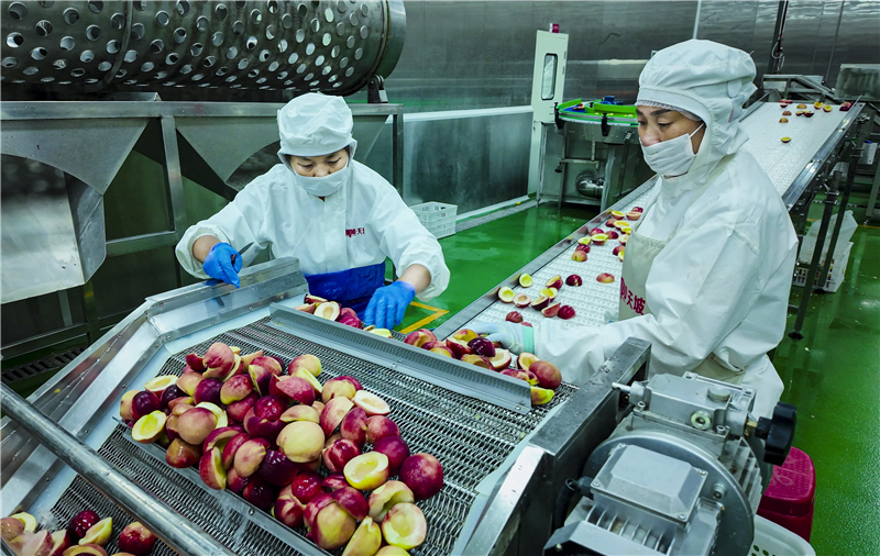 �������Y��2�|Ԫ�����¬F(xi��n)���r(n��ng)�I(y��)�ġ�С�֘ӱ���