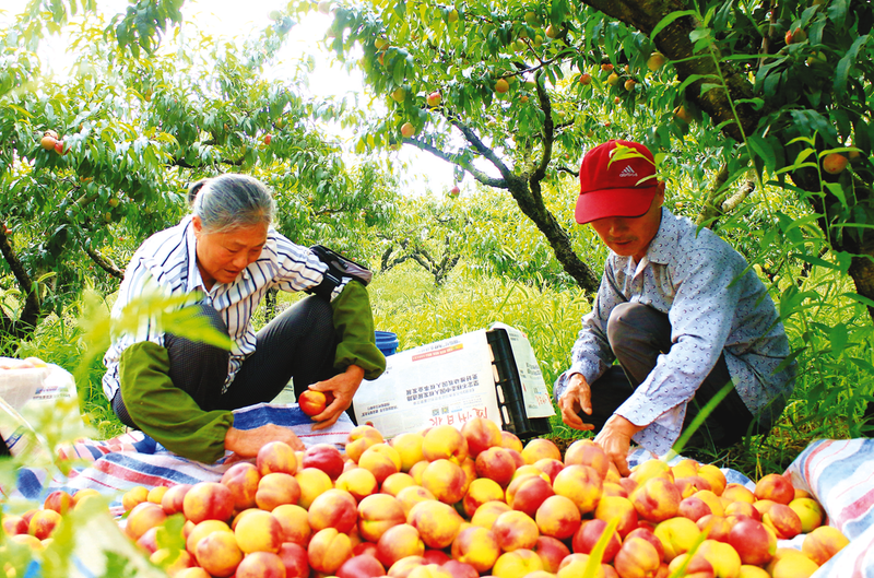 ��Сˮ�����˄�(d��ng)����a(ch��n)�I(y��)�������ƿh�(zh��n)��ɫˮ���a(ch��n)�I(y��)��a(ch��n)ֵ��10�|Ԫ